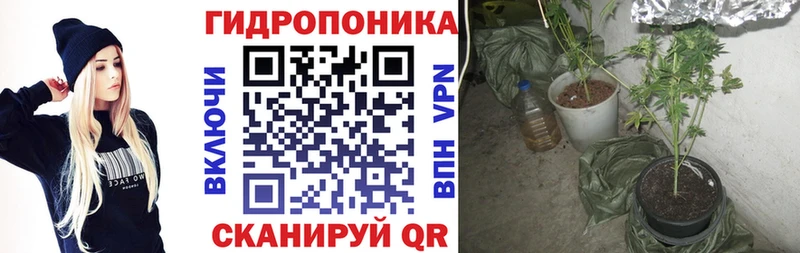 Наркошоп купить Бошки Шишки  A PVP  Гашиш  МЕФ  Черняховск