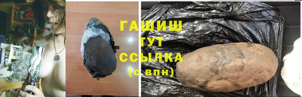 гидра Надым