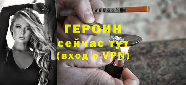 гидра Надым