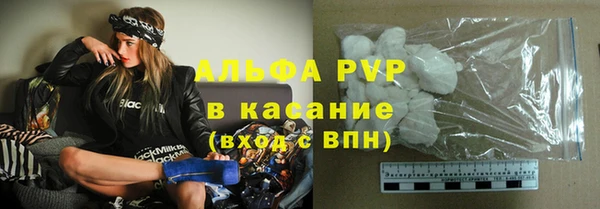 гидра Надым