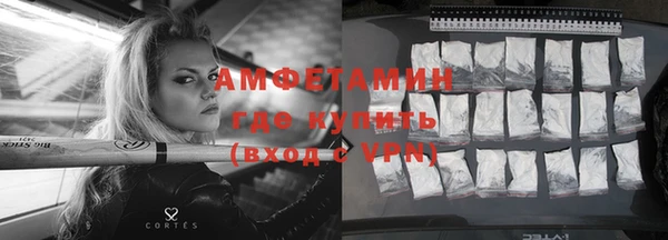 гидра Надым