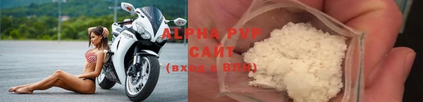 гидра Надым