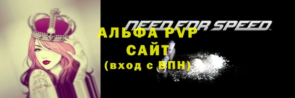 гидра Надым