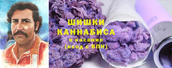 гидра Надым