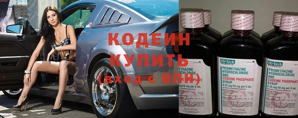 гидра Надым